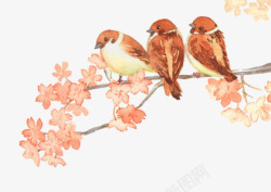 彩绘小鸟素材
