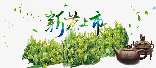 茶叶上市png免抠素材_新图网 https://ixintu.com 漂浮 绿色 茶叶 茶壶