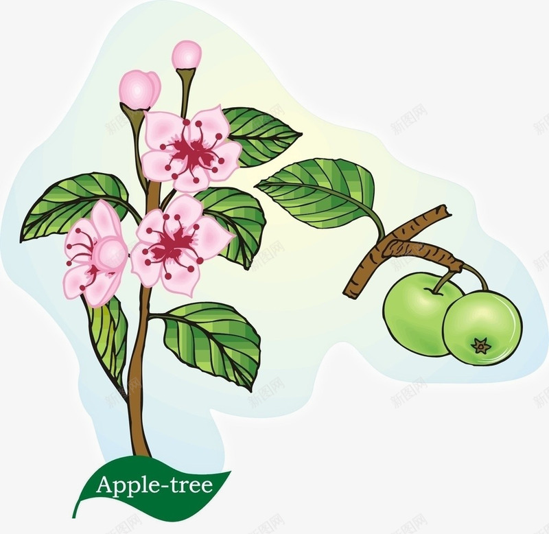 苹果花手绘png免抠素材_新图网 https://ixintu.com 手绘 手绘图 植物 花朵 苹果花 设计