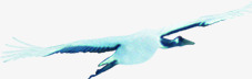 彩绘摄影飞翔的小鸟素材