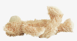 睡觉的熊睡觉的毛绒绒熊公仔高清图片