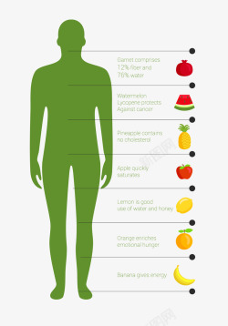 人体所需水果图矢量图素材