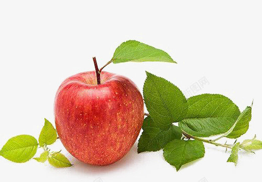 一个红苹果png免抠素材_新图网 https://ixintu.com 一个 红色 绿叶 苹果