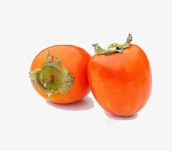 成熟的柿子素材