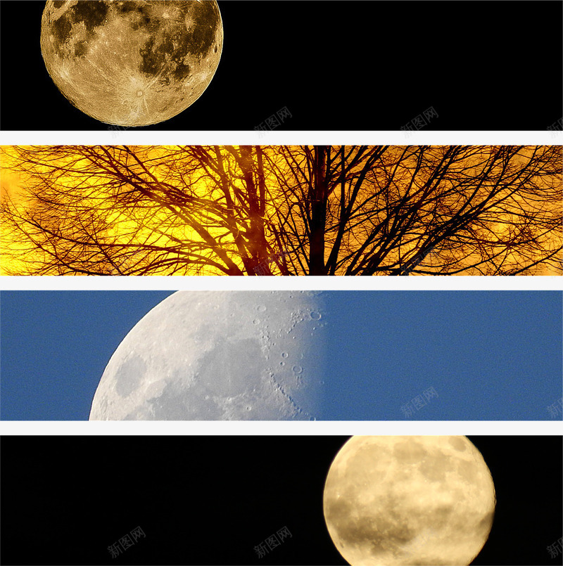 秋天夜晚月亮景观合集png免抠素材_新图网 https://ixintu.com 月亮 月夜 秋天 自然景观 自然风光