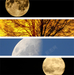 秋天夜晚月亮景观合集素材