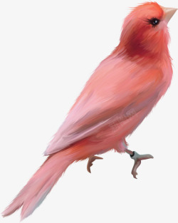 水彩红色小鸟素材