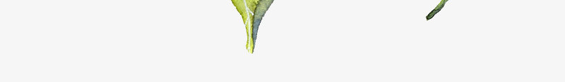 水彩苹果和葡萄png免抠素材_新图网 https://ixintu.com 手绘 水彩提子 水彩画 水果 苹果 葡萄