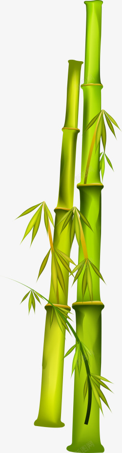 大自然绿色竹子竹叶素材