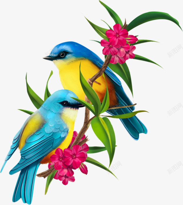 树枝上的小鸟png免抠素材_新图网 https://ixintu.com 卡通 叶子 小鸟 手绘 树枝 花朵 花瓣