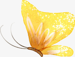 手绘黄色夏季蝴蝶素材