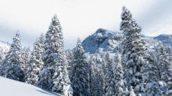 冬季高山雪景素材