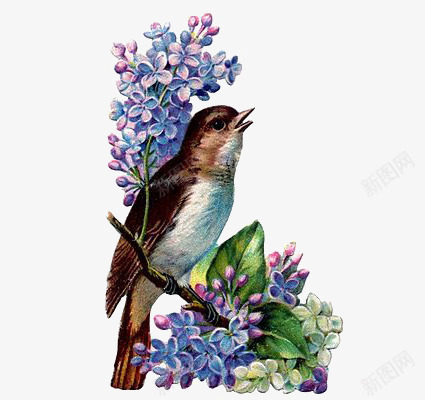 复古动物插画png免抠素材_新图网 https://ixintu.com 动物 卡通 小鸟 手绘 插画 植物 花朵