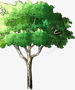 手绘绿色夏季景观大树素材