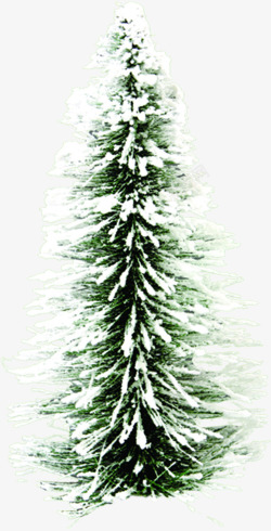 冬季雪花松树素材