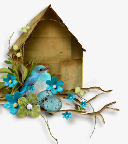 木头鸟屋可爱的小鸟和木头鸟屋高清图片
