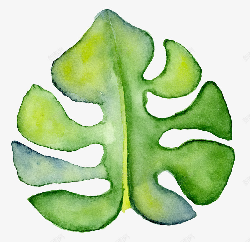 热带植物png免抠素材_新图网 https://ixintu.com PNG图形 叶子 夏季植物 树叶 环保 绿色 装饰