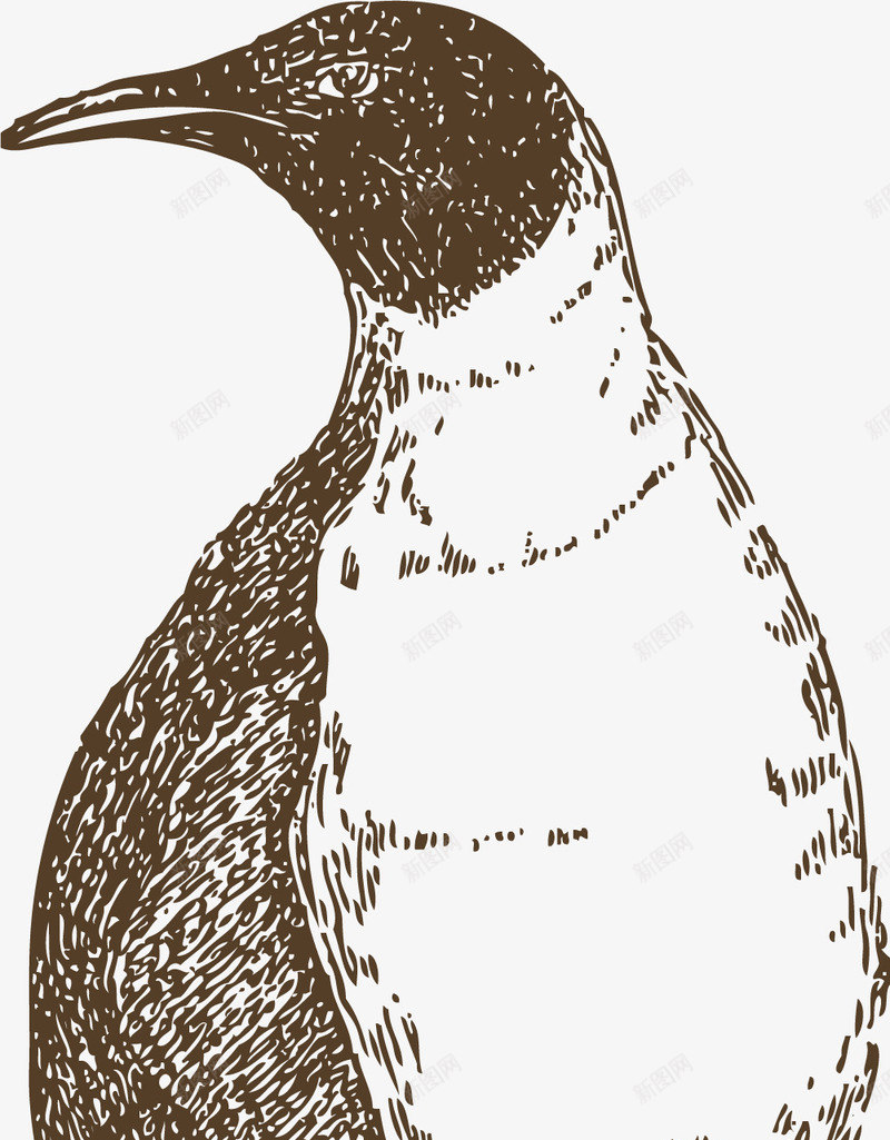 企鹅简笔画png免抠素材_新图网 https://ixintu.com 企鹅 小鸟简笔画 鸟简笔画 鸟类手绘 鸟类简笔 鸟类速写