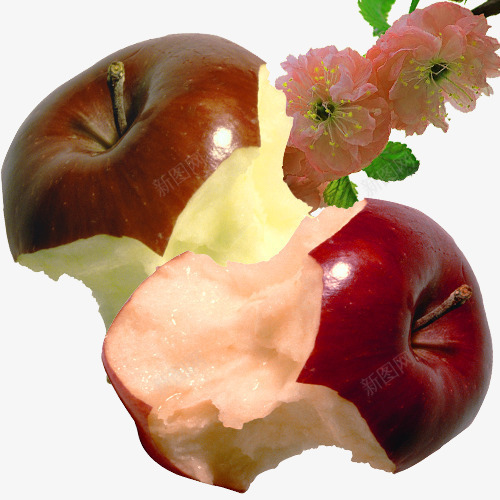 吃剩的平安果苹果核psd免抠素材_新图网 https://ixintu.com 吃剩的平安果 小苹果 果核 红苹果 美味水果 苹果核