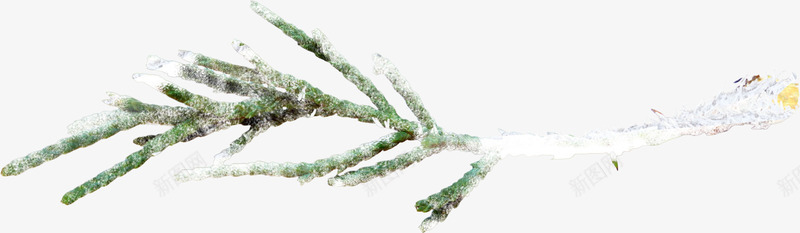 扁平冰雪覆盖树枝png免抠素材_新图网 https://ixintu.com 冰雪 扁平 树枝 覆盖 覆盖树枝 雪枝