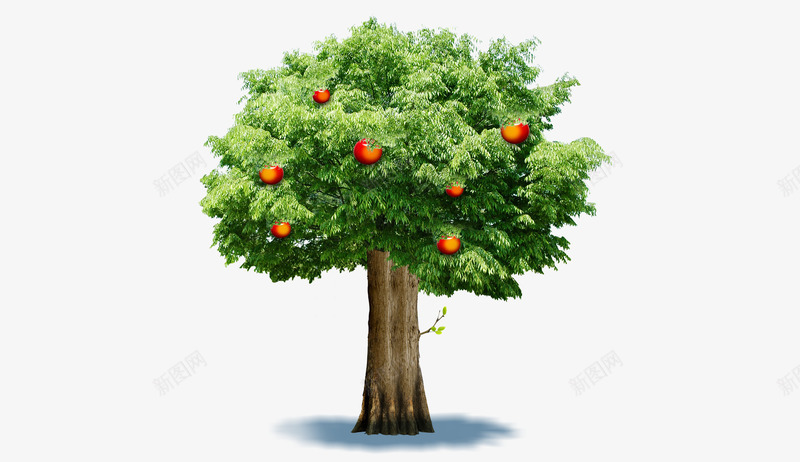 绿色苹果树png免抠素材_新图网 https://ixintu.com 树 绿色 苹果 苹果树