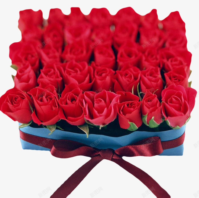 红玫瑰方形鲜花包扎实物图png免抠素材_新图网 https://ixintu.com 丝带 包扎 方形 爱情 红玫瑰