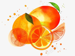 甜橙瓣水彩橘子高清图片