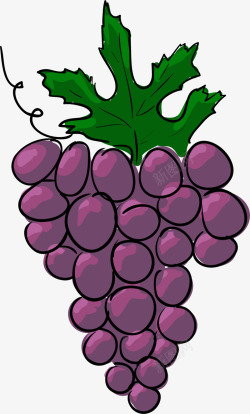 大串葡萄夏季水果大串葡萄高清图片