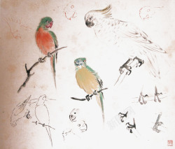 褐色花鸟手绘小鸟高清图片