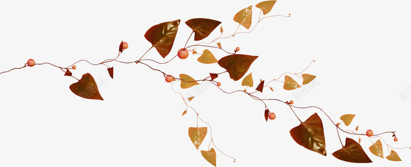 棕色漂亮枝叶png免抠素材_新图网 https://ixintu.com 叶子 枝叶 树叶 树枝 棕色枝叶 漂亮枝叶