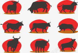 杂技表演动物杂技表演的牛高清图片