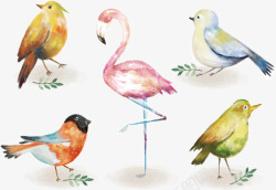 水彩绘鸟类素材