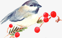 卡通手绘圣诞果实小鸟素材