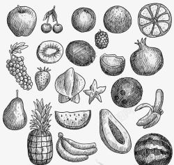 黑白菠萝手绘素描水果高清图片