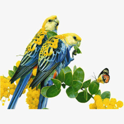黄鹦鹉鹦鹉元素高清图片