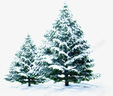 冬季雪树气氛png免抠素材_新图网 https://ixintu.com 冬季 气氛 素材