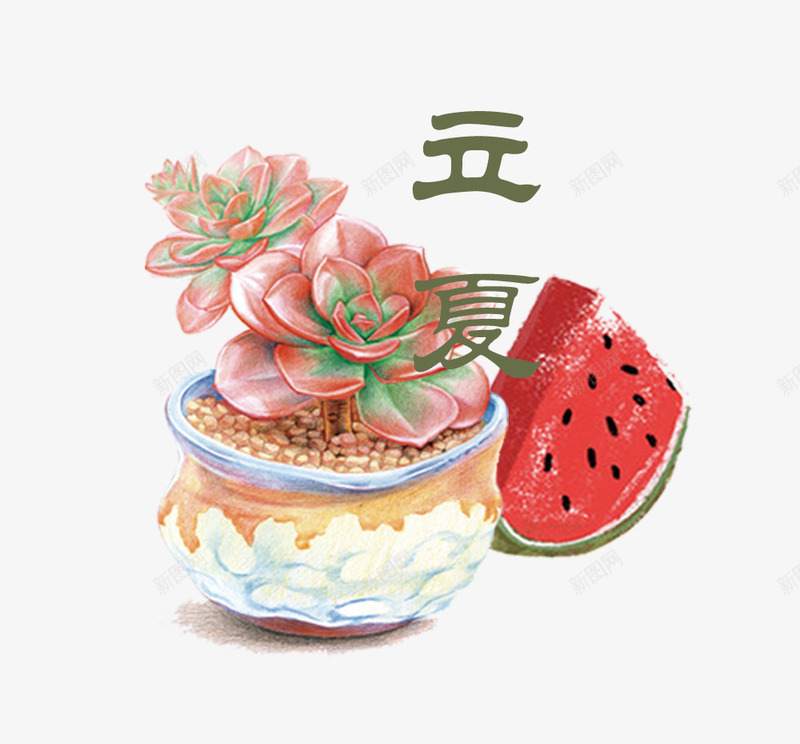 二十四节气之立夏多肉植物与西瓜psd免抠素材_新图网 https://ixintu.com 中国节气 二十四节气 传统节日 夏天 夏季 立夏 艺术字