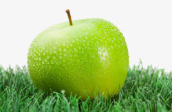 绿色草坪和苹果素材