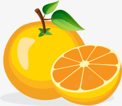 夏季水果橙色橙子素材