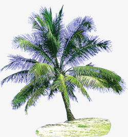 绿色清新夏季椰树素材