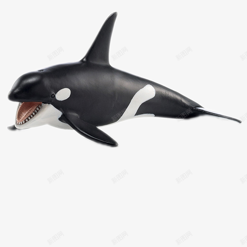 德国思乐白鲨鱼玩具png免抠素材_新图网 https://ixintu.com 产品实物 水生动物 海洋动物