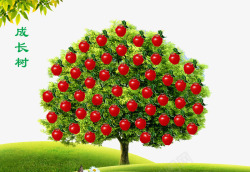 一棵苹果树一棵成长树高清图片