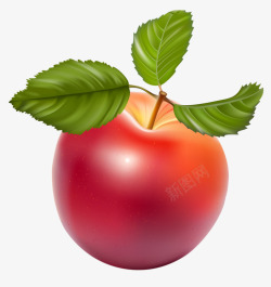 一个红苹果素材