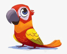 彩色小鹦鹉鹦鹉高清图片