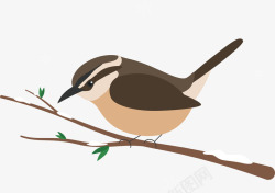 树枝上一对小鸟插图卡通小鸟矢量图高清图片