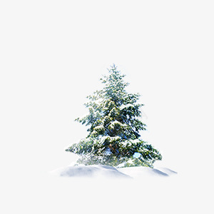 冬季的树png免抠素材_新图网 https://ixintu.com 下雪 小树 树木