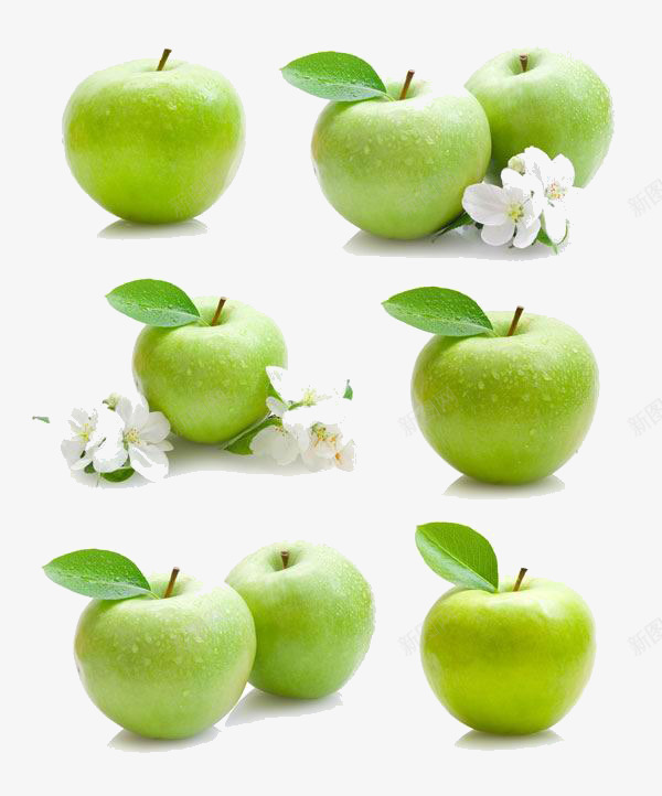 苹果叶png免抠素材_新图网 https://ixintu.com 白色 花朵 苹果 苹果叶 青色