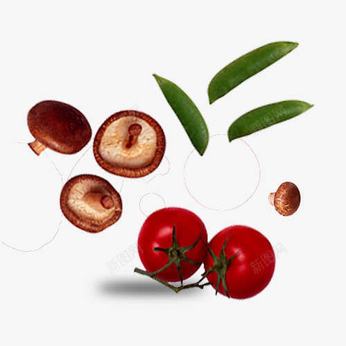 可口的蔬菜组合png免抠素材_新图网 https://ixintu.com 可口 番茄 蔬菜组合 蘑菇 豆角
