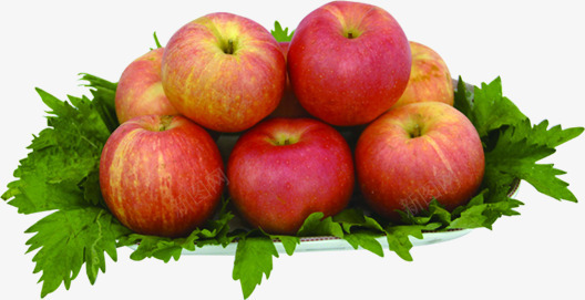 创意海报水果红色苹果png免抠素材_新图网 https://ixintu.com 创意 水果 海报 红色 苹果