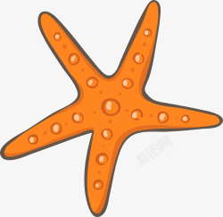 橙色海星夏季海滩海星矢量图高清图片